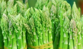 Ảnh minh hoạ: Internet