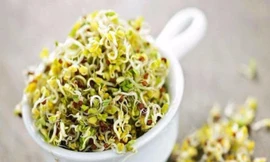 Ảnh minh họa: Internet