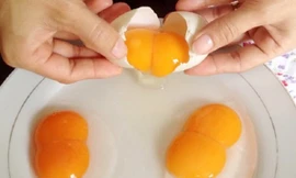 Ảnh minh hoạ: Internet