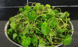 Ảnh minh họa: Internet