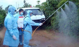 Ảnh minh hoạ: Internet