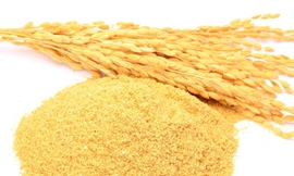 Ảnh minh hoạ: Internet