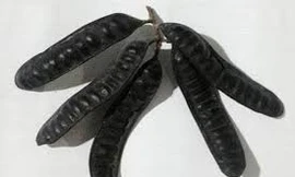 Ảnh minh hoạ: Internet