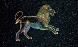 Ảnh minh hoạ: Internet