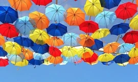 Ảnh minh hoạ: Internet