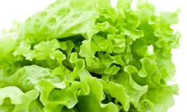 Ảnh minh hoạ: Internet