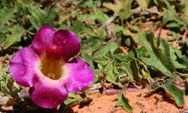 Ảnh minh hoạ: Internet