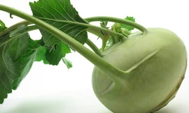 Ảnh minh hoạ: Internet