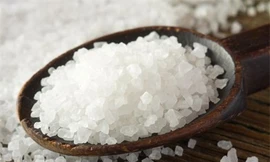 Ảnh minh hoạ: Internet