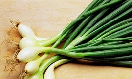 Ảnh minh hoạ: Internet