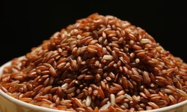 Ảnh minh hoạ: Internet