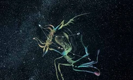 Ảnh minh họa: Internet