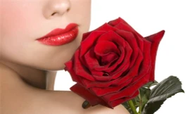 Ảnh minh hoạ: Internet