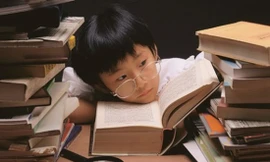 Thực tế cho thấy, không có loại thuốc bổ mắt nào có thể ngăn ngừa bệnh cận thị hay làm mắt cận sáng lên được. Ảnh minh hoạ: Internet