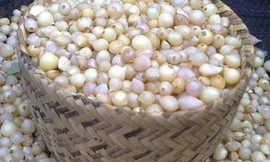 Ảnh minh hoạ: Internet