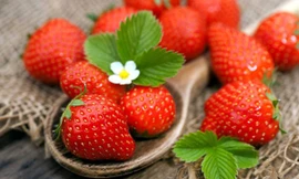 Ảnh minh hoạ: Internet