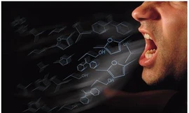 Ảnh minh hoạ: Internet