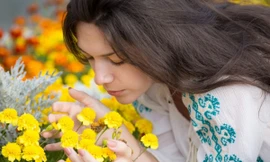 Ảnh minh hoạ: Internet