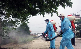 Phun hóa chất diệt muỗi đủ liều lượng sẽ "tiêu diệt" được muỗi. Ảnh minh họa: Internet