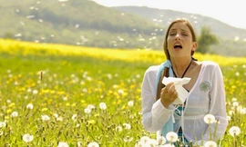 Ảnh minh hoạ: Internet