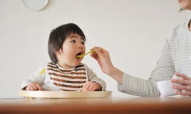 Ảnh minh hoạ: Internet