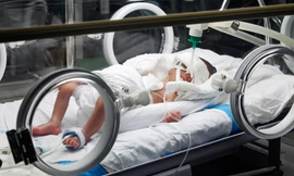 Ảnh minh hoạ: Internet