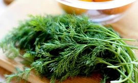 Ảnh minh hoạ: Internet