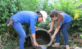 Thanh niên tình nguyện giúp các hộ dân diệt bọ gậy nhằm giảm nhanh mật độ muỗi và bọ gậy truyền bệnh. Ảnh: Internet