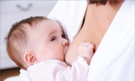 Ảnh minh họa: Internet