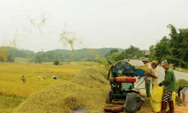 Nhiều tai nạn thương tâm từ máy cắt lúa do sự bất cẩn của người sử dụng. Ảnh minh hoạ: Internet