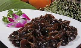 Ảnh minh hoạ: Internet