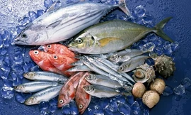 Ảnh minh hoạ: Internet