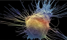 Ảnh minh hoạ: Internet