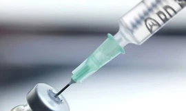 Ảnh minh hoạ: Internet