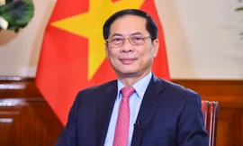 Phó Thủ tướng, Bộ trưởng Ngoại giao Bùi Thanh Sơn. (Ảnh: Mofa)