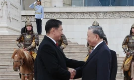 Nhiều biệt lệ trong chuyến công du của Tổng Bí thư, Chủ tịch nước Tô Lâm đến ba quốc gia