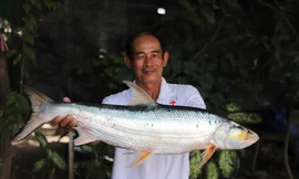 Nhà nghiên cứu Chhut Chheana và con cá chép hồi mới bắt được ở sông Mekong. (Ảnh: AP)