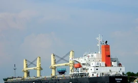 Tàu hàng True Confidence khi chưa bị tấn công. (Ảnh: vesseltracker)