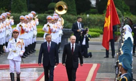 Nội dung hội đàm giữa Chủ tịch nước Tô Lâm và Tổng thống Nga Putin