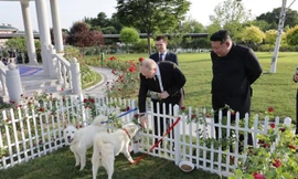 Ông Kim tặng Tổng thống Putin cặp chó săn Pungsan. (Ảnh: KCNA)