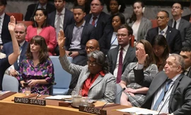 Đại sứ Mỹ và Algeria trong phiên bỏ phiếu về nghị quyết ủng hộ thoả thuận ngừng bắn giữa Israel và Hamas. (Ảnh: Reuters)