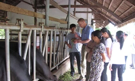 Khi người chăn nuôi là trung tâm kích hoạt sự phát triển