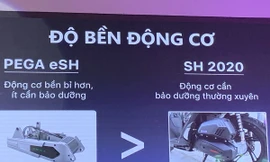 Lùm xùm so sánh sản phẩm: Tại sao Pega 'thích' đối chọi với Honda?