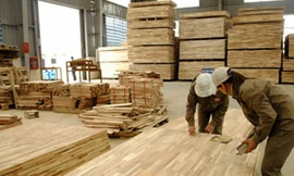 Ảnh minh họa. Nguồn: Internet