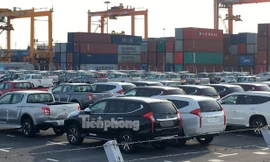 Ôtô miễn thuế 'đổ bộ' về Việt Nam, tập kết kín cảng chờ lăn bánh