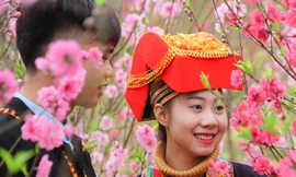 Sẵn sàng cho Lễ hội hoa Đào xứ Lạng Xuân Kỷ Hợi 2019