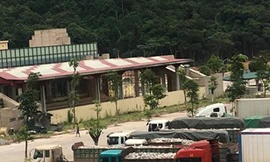 Ảnh minh họa. Nguồn: Tuấn Nguyễn