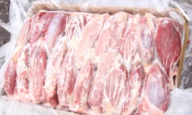 Tang vật liên quan bị hải quan thu giữ