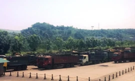 Các xe chở hàng lậu của Công ty Diệp Bảo Anh. Ảnh Cục Điều tra chống buôn lậu