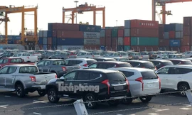 Ô tô nhập khẩu về cảng Tân Vũ, Hải Phòng. Ảnh: Tuấn Nguyễn